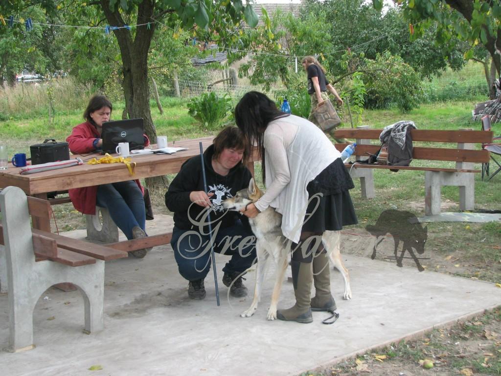 Sevilen being measured at her youth presentation.