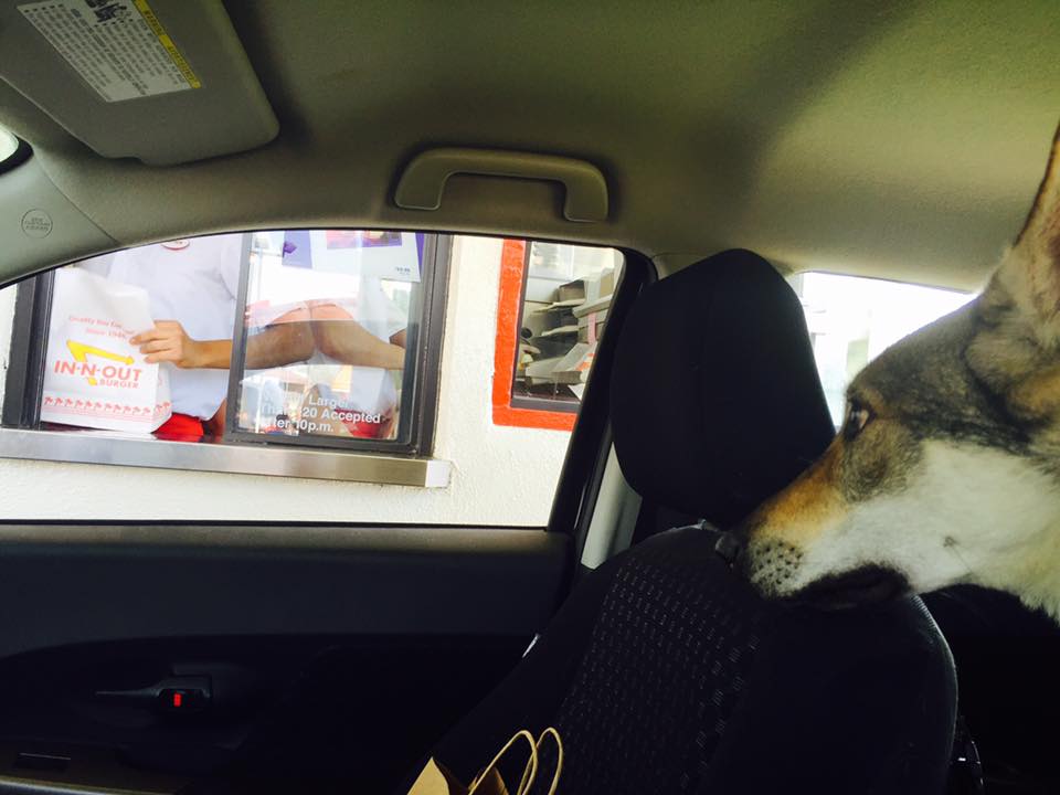 Drive thru Pup Patties for a job well done!