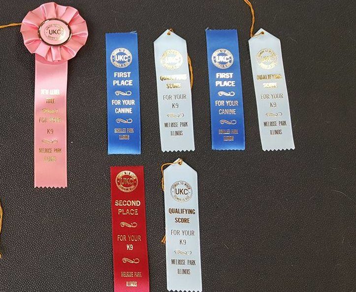 Ribbon swag from today!