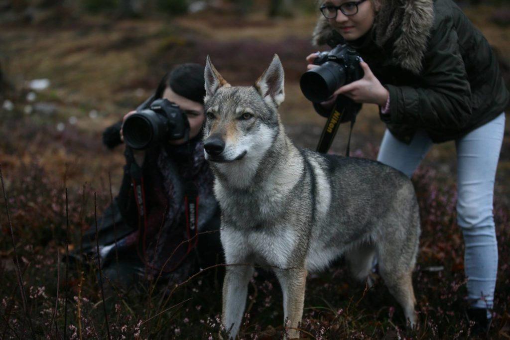 Behind-the-scenes with Morrow at one of the shoots