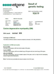 Example of a DM certificate from VetGene